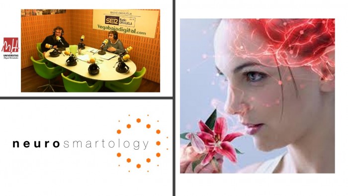 Actividad de formación transnacional: Avance en las publicaciones científicas y revisiones bibliográficas sobre el efecto de los aromas en el consumo dentro del proyecto europeo de neuromarketing “Neurosmartology”